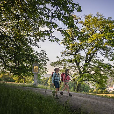 Eichstätter Panoramaweg Zwei Wanderinnen mit Rucksäcken unter alten Bäumen, Stamm mit gelbem Schild und Zahl 7 im Vordergrund.