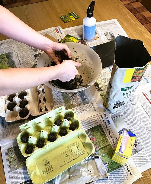 Samenbomben selbst herstellen