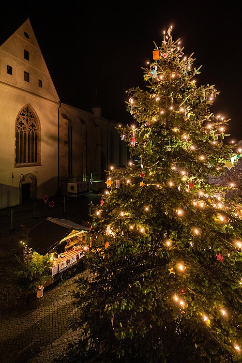 Christbaum Domplatz